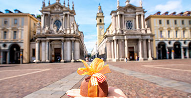 Chaffeur car service Torino: shopping