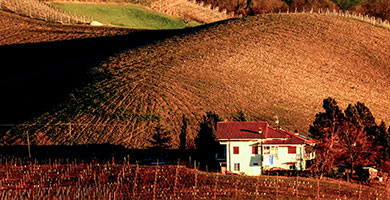 Chaffeur car service Torino: tours