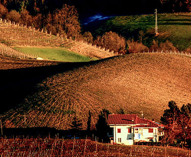 Chaffeur car service Torino: tours